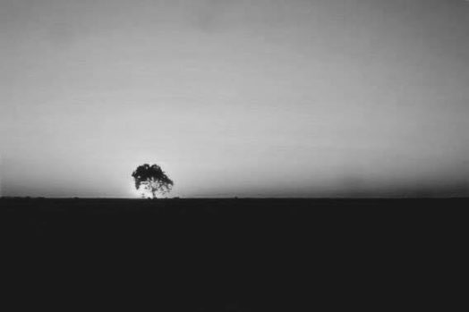 Diego Julan Diaz Hurtado_En la nada