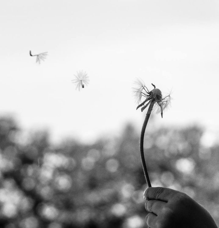 Fran Izquierdo Sánchez_Que tengáis suerte!