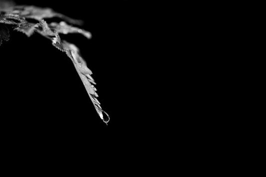 Gabo Monzón_Gota Ingrávida