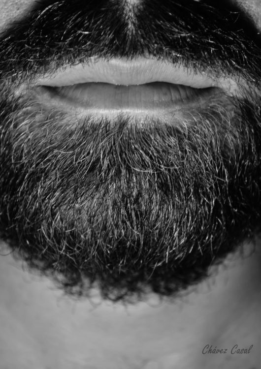 Michel Alejandra Chávez_Beards make everything better