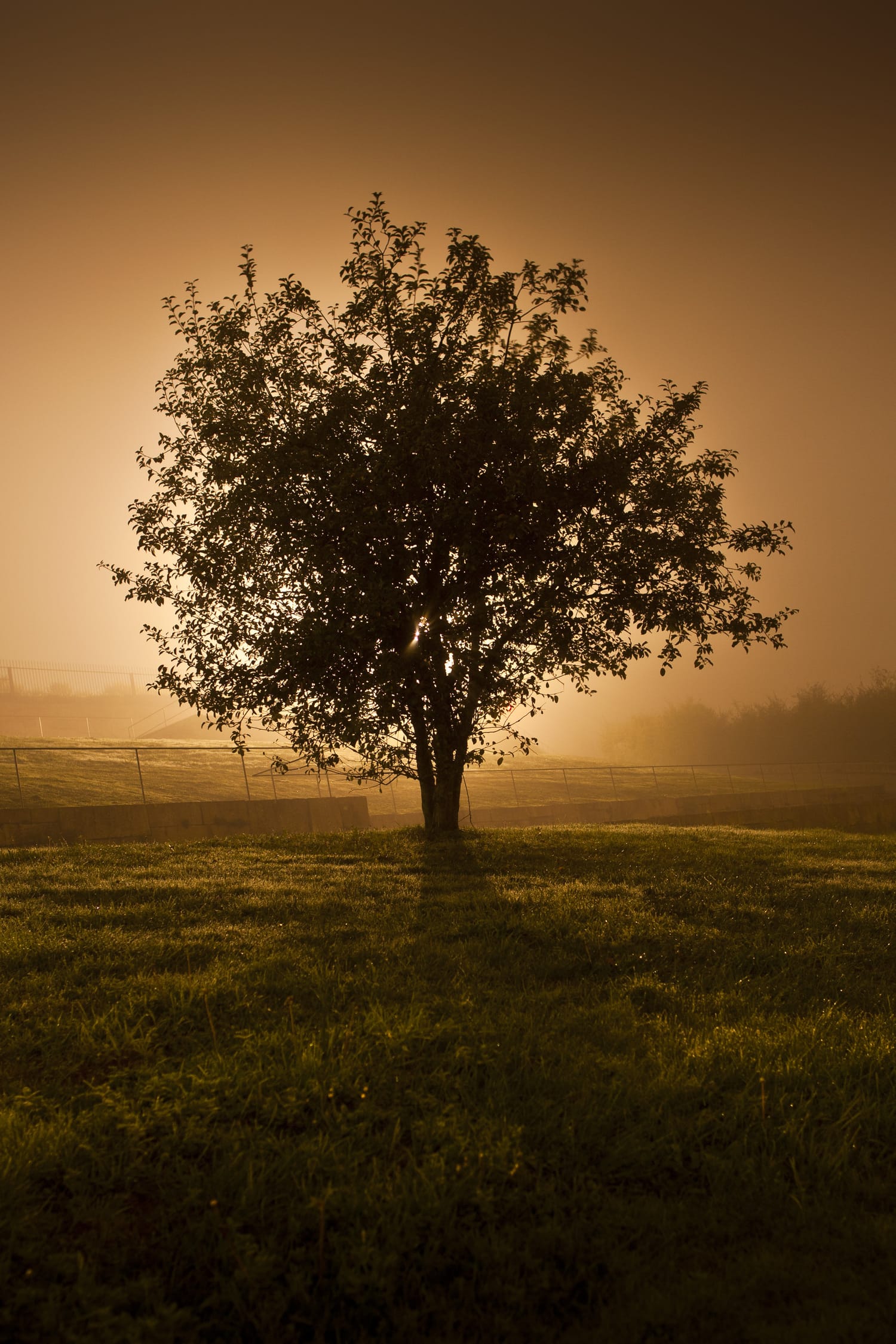 Backlit