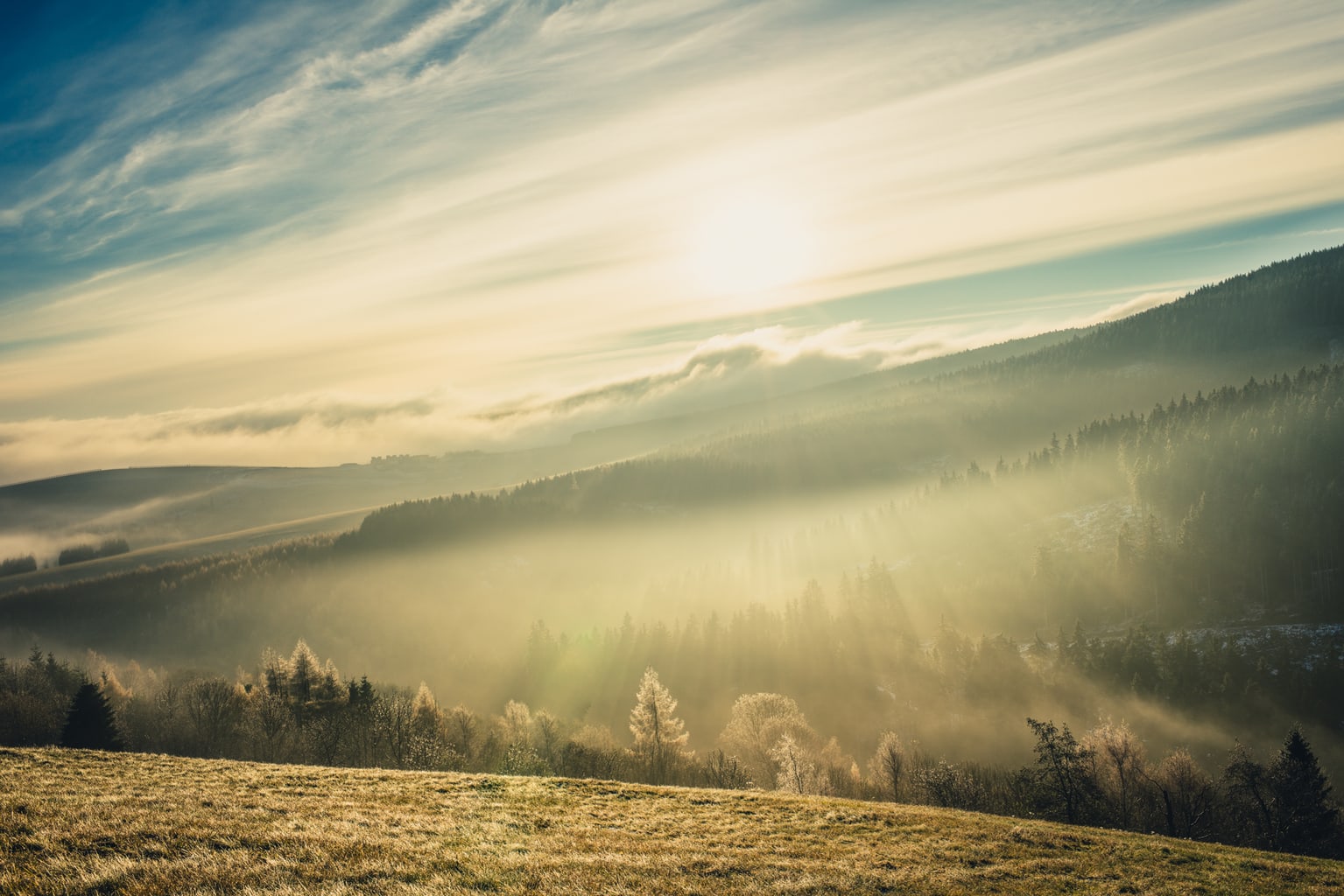 autumn morning mist