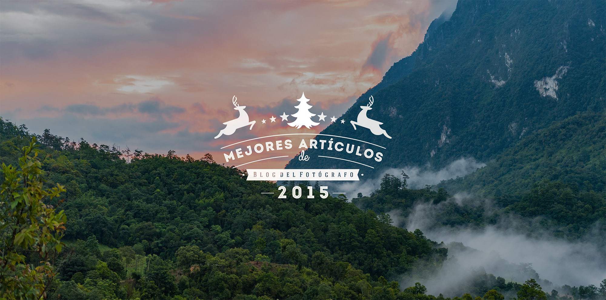 mejores-articulos-2015