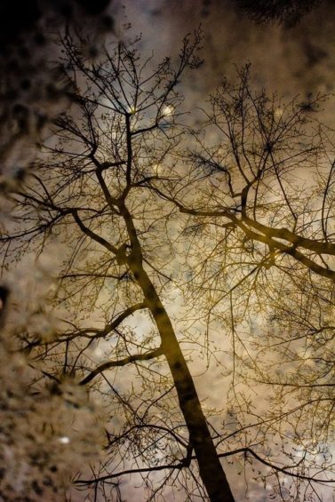 Cris Infanta Barcelona_Y entonces, cesó de llover