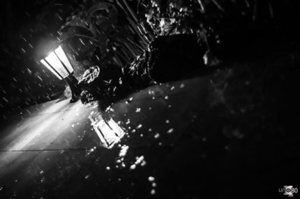 Jose Santana_Sin título