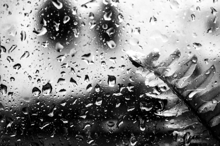 Laura Juanes_Sin título