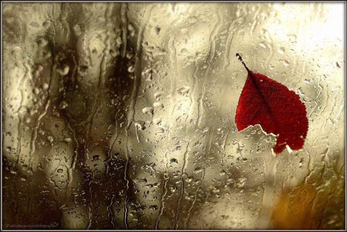 Pablo Barreiro Fotografía_Pablo Barreiro Fotografía_Sin título