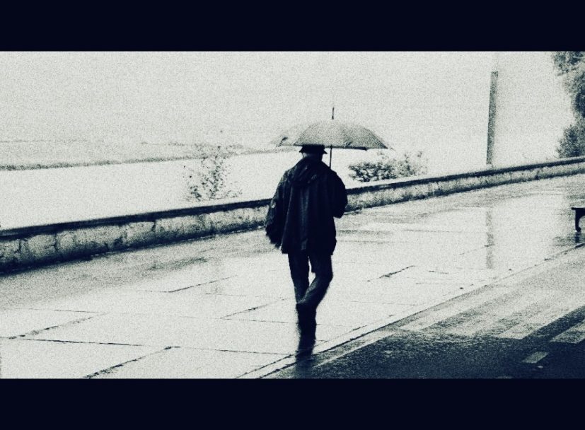 Raraher Deica Logo_Pseo con choiva