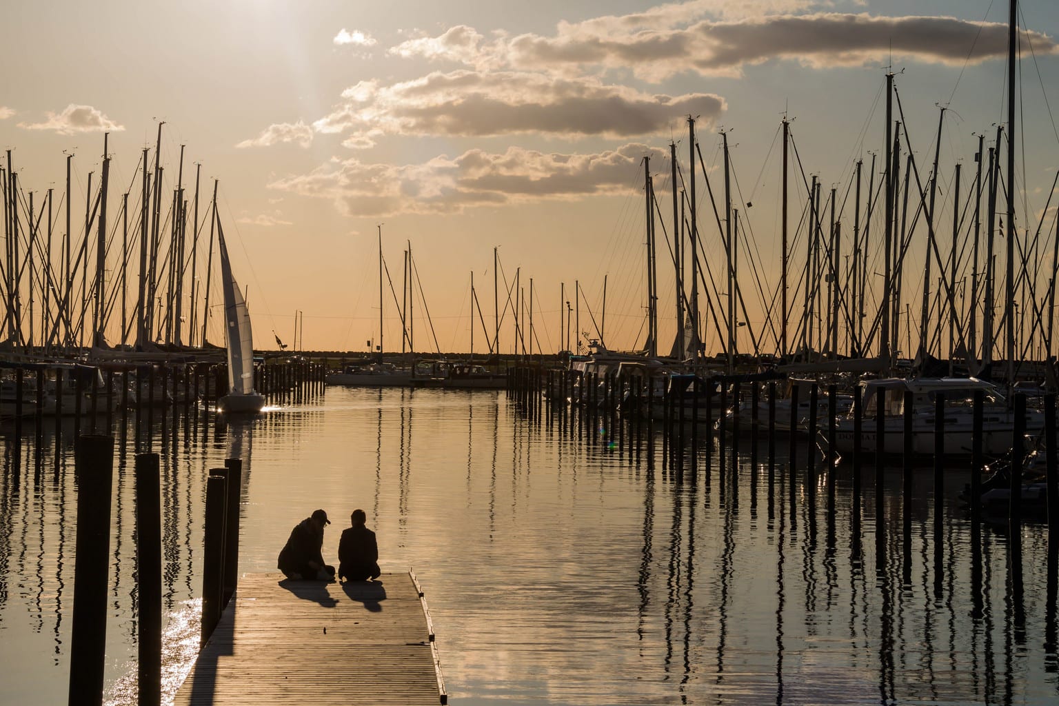 Dock in the Marina