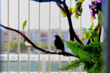 Gurbitug_Sin título