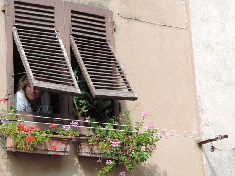 Roxana Gomez_Detrás de las persianas
