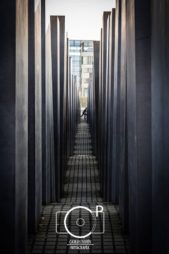 Carlos Turkeyn_Cazado