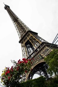 Marcela Granero_Imponente y majestuosa