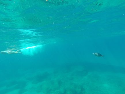 Esther Prieto_Extrañado