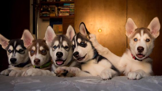 Alyaz Ugalde Saucedo_La niña quiere su espacio