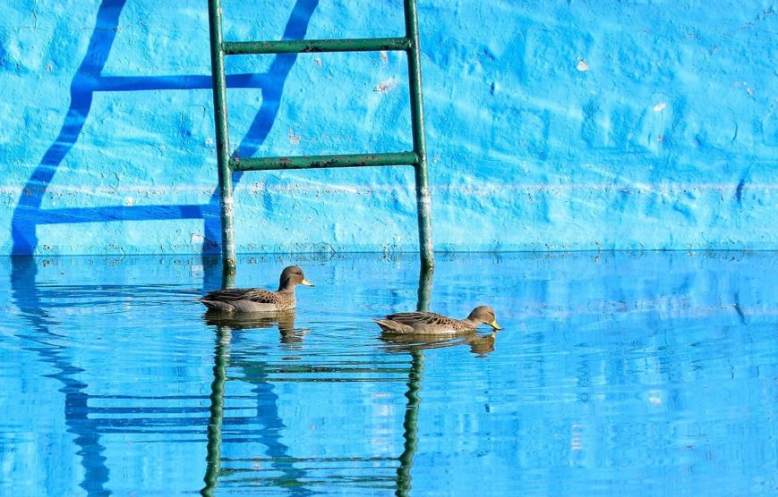 Gastón Villarino_Mientras pasa el invierno