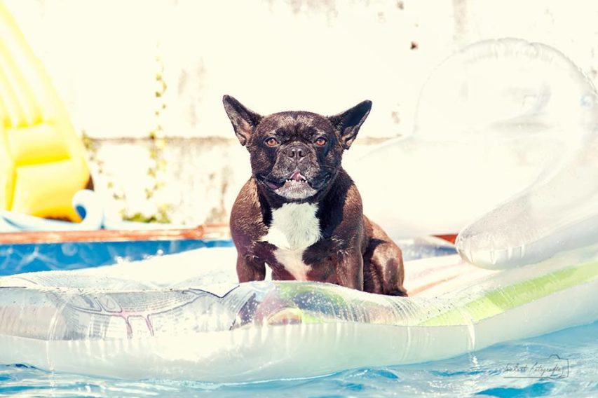 Olalla Beade_Navegando