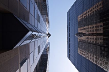 Blanca Valezzi_Los rascacielos