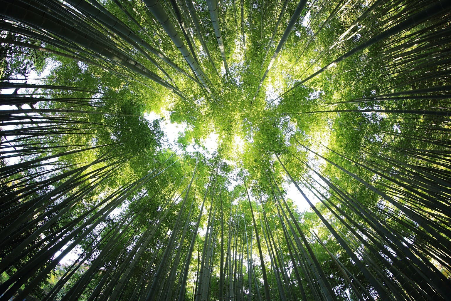 Unsplash