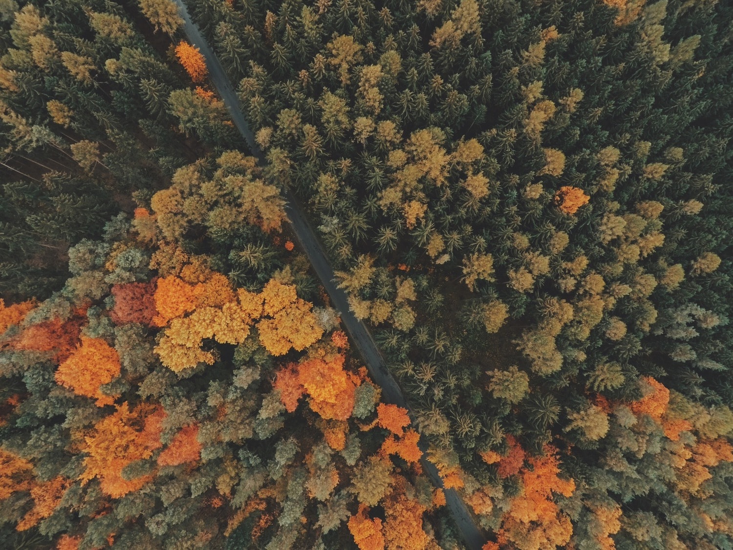 Unsplash
