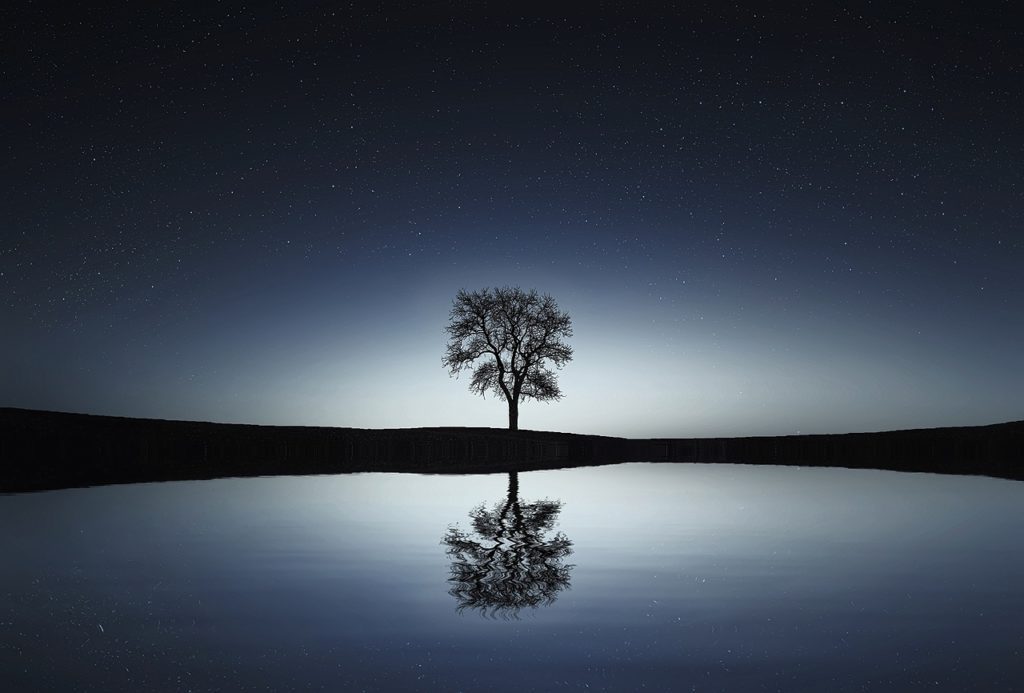 reflejo árbol