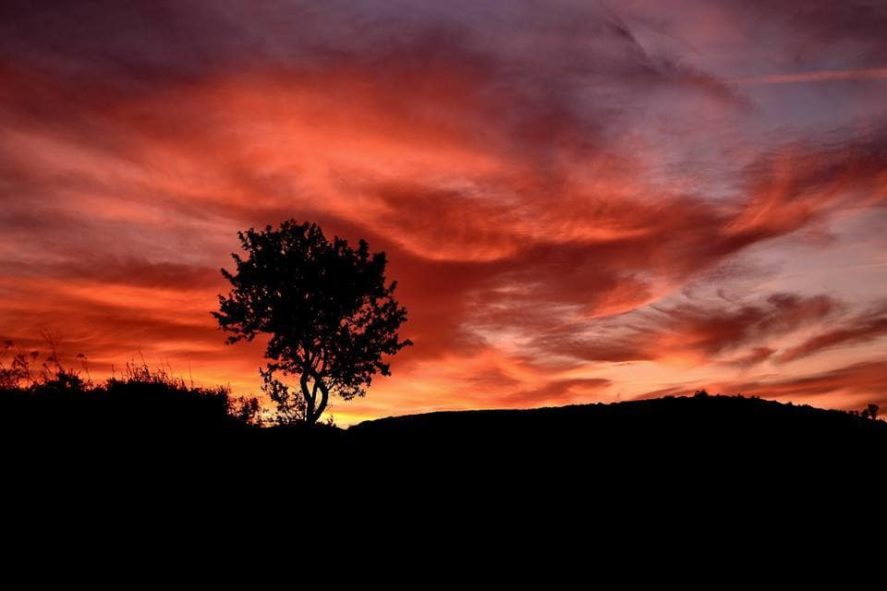 Adrian Martinez_Ocaso