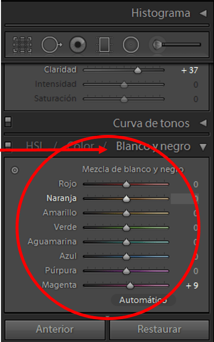 Lightroom  mezcla de blanco y negro selección