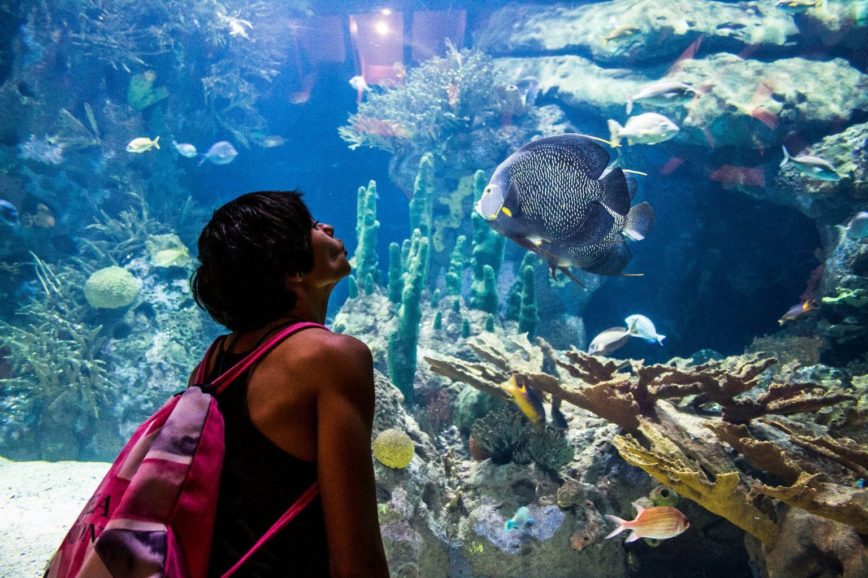 SPAPHOTO_Como pez en el agua