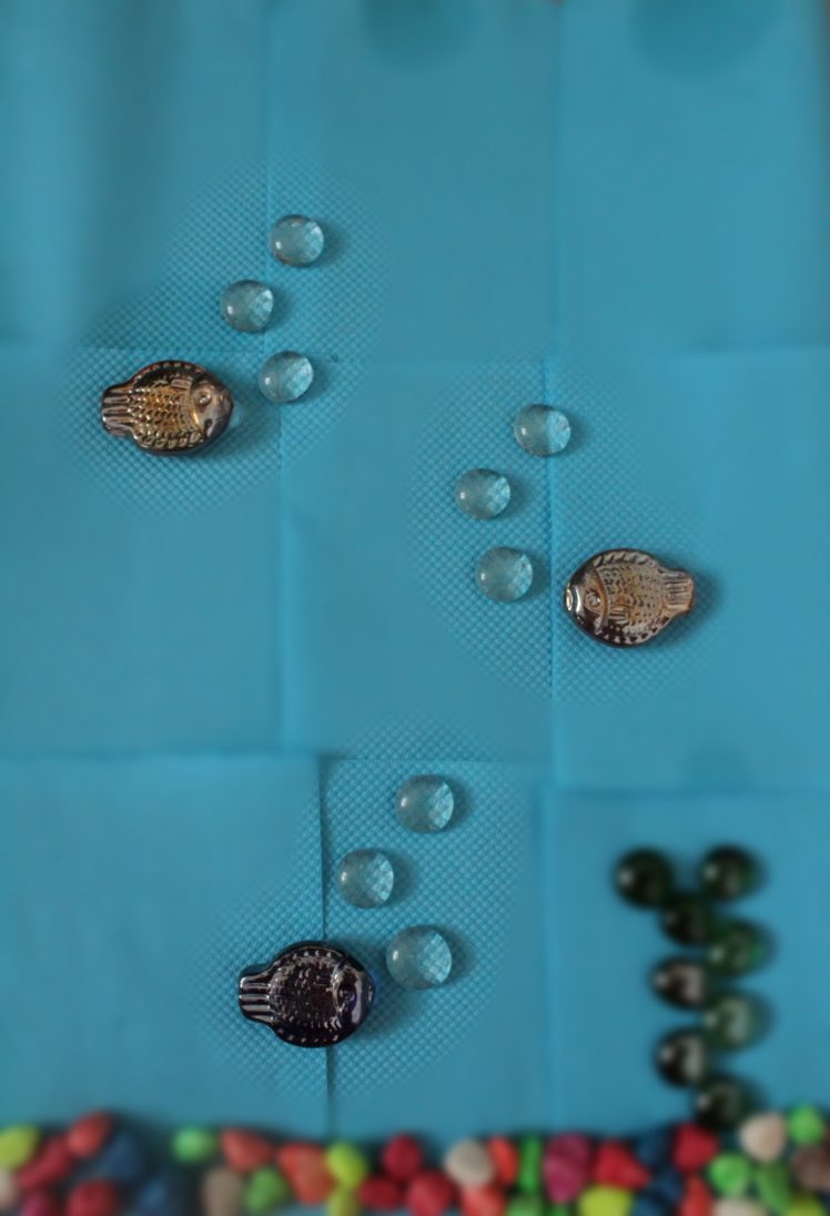 sarapifotograpi_Sin título