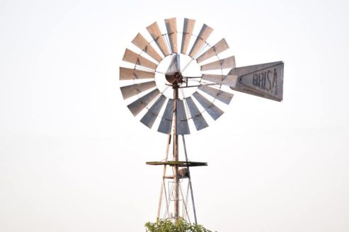 Esteban Durañona_Sin título