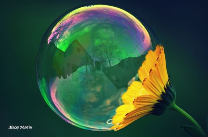 Merxem Martín_Pompas de jabón