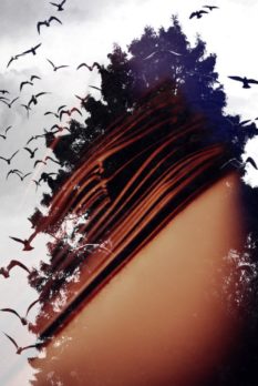 Pepe Latas_Haciendo volar la imaginación con la lectura