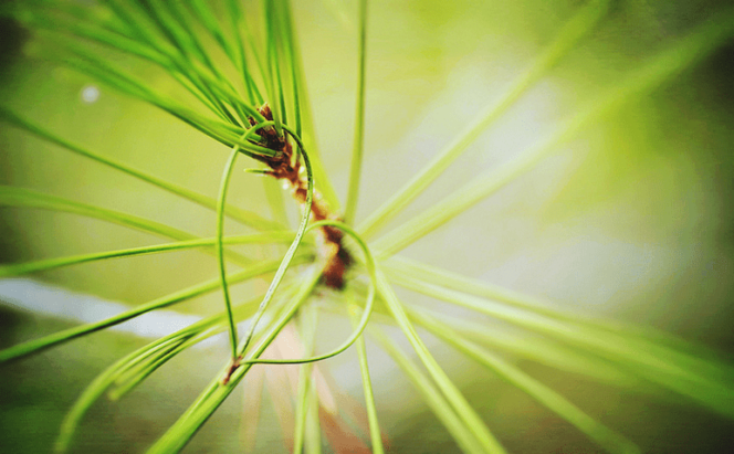 brianparra_Loving nature