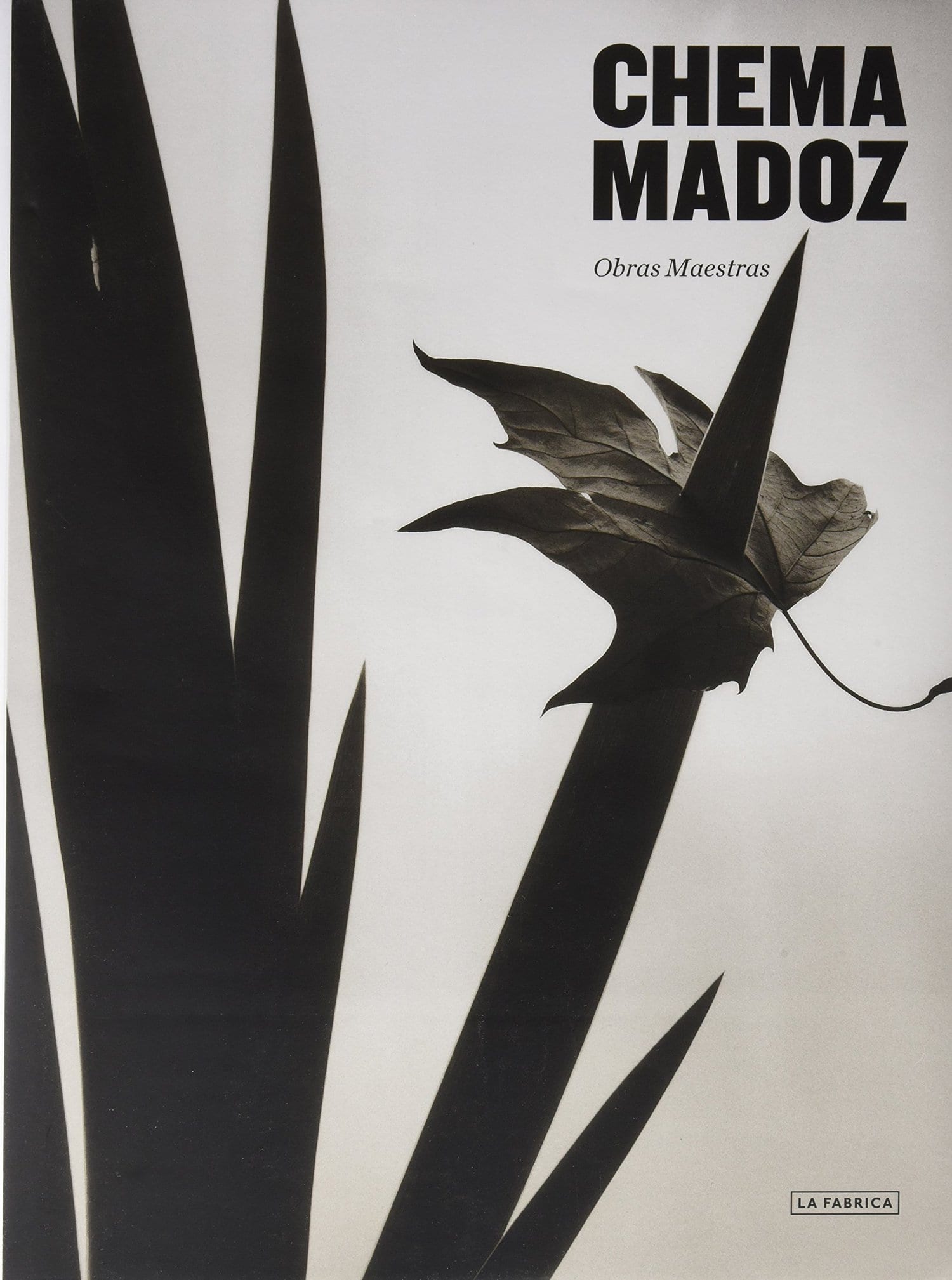 portada libro fotografia chema madoz