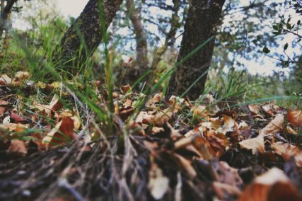 Ruben Diez_Desorden visto desde una perspectiva diferente