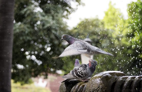 elrayman210 De tal_Tiempo relativo