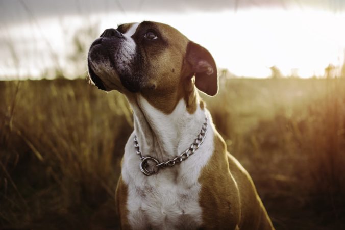 Clara_Betegon_Su_fidelidad_es_infinita