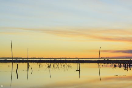 Gustavo F. Acosta_Reflejos del atardecer