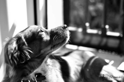 Javi_Bermudez_Posando_y_todo