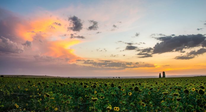 Jorge_Santamaria_El_ultimo_sol_del_verano