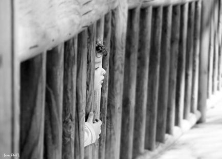 Susana Gutierrez_Mirada curiosa