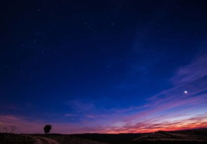 Marzè Ksamijana_Un lugar donde soñar