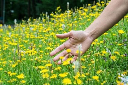 arturo_sanma_Twices beauties