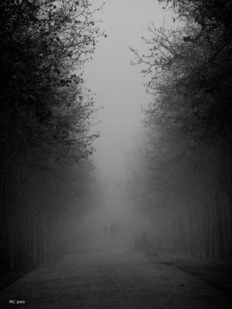 Mari Carmen Polo Soler_La senda fantasma