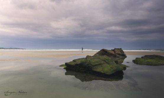 Segio Núñez_Solo en la playa