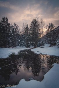 ana sanchez_Reflejos de hielo