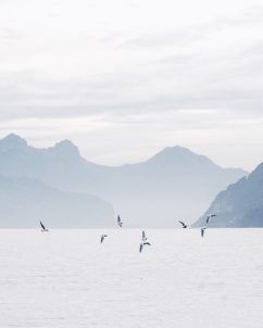 Processed with VSCO with hb1 preset