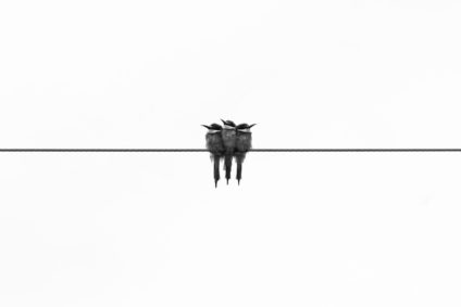 glen-carrie-513355-unsplash