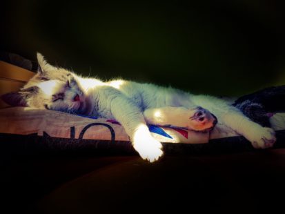 Pepe Latas_La siestuki