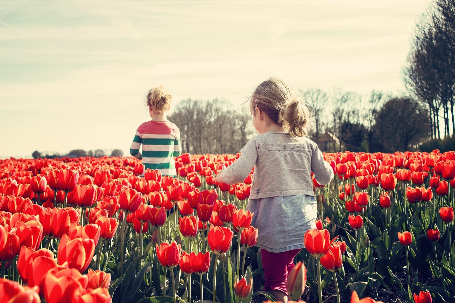 fotografía niñas con amapolas